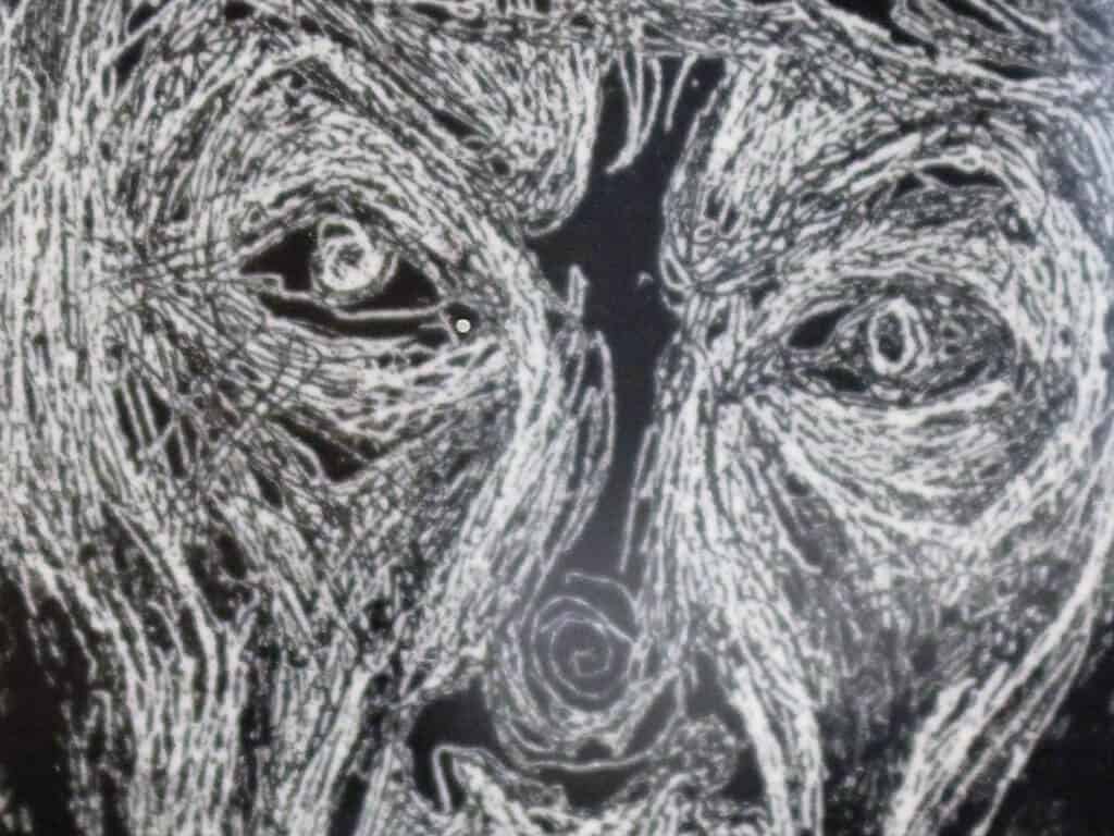 Autorretrato de Francisco Toledo (detalle).