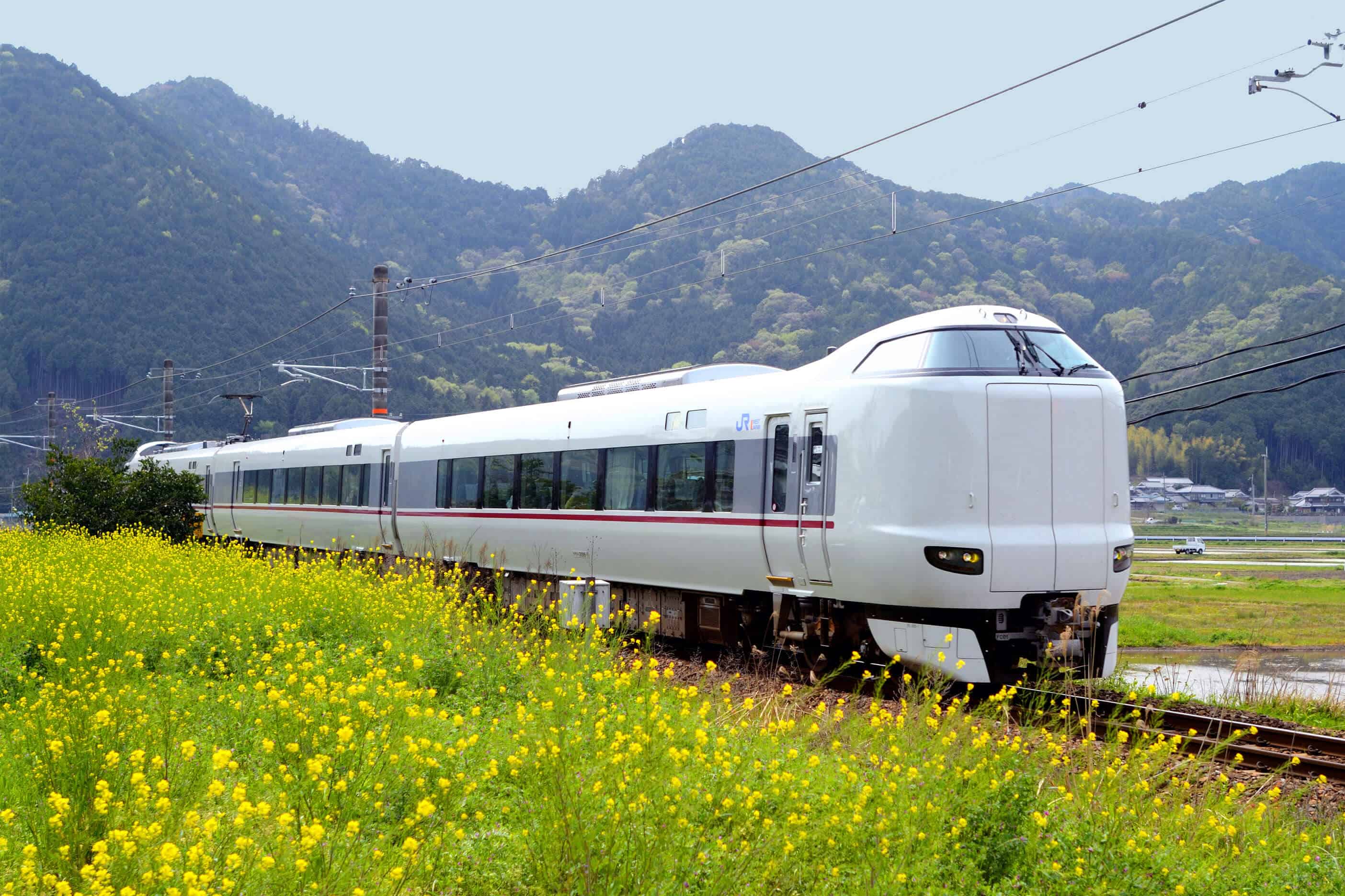 Series 287 Tren Express “Kurushio” “Konotori” para JR (Foto: Cortesía)