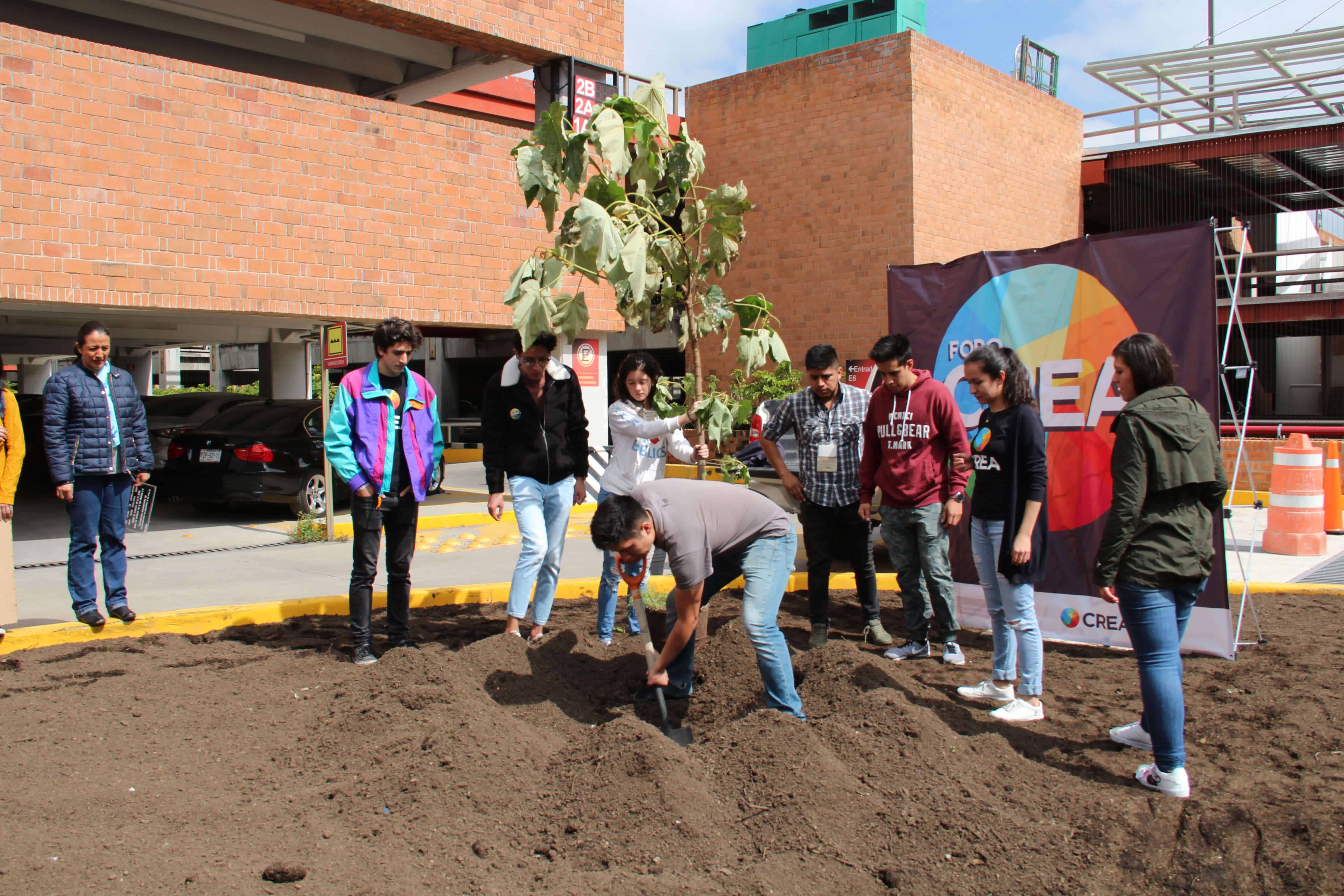 Alumnos plantaron un árbol a un costado de la cápsula del tiempo (Valentina González/IBERO).