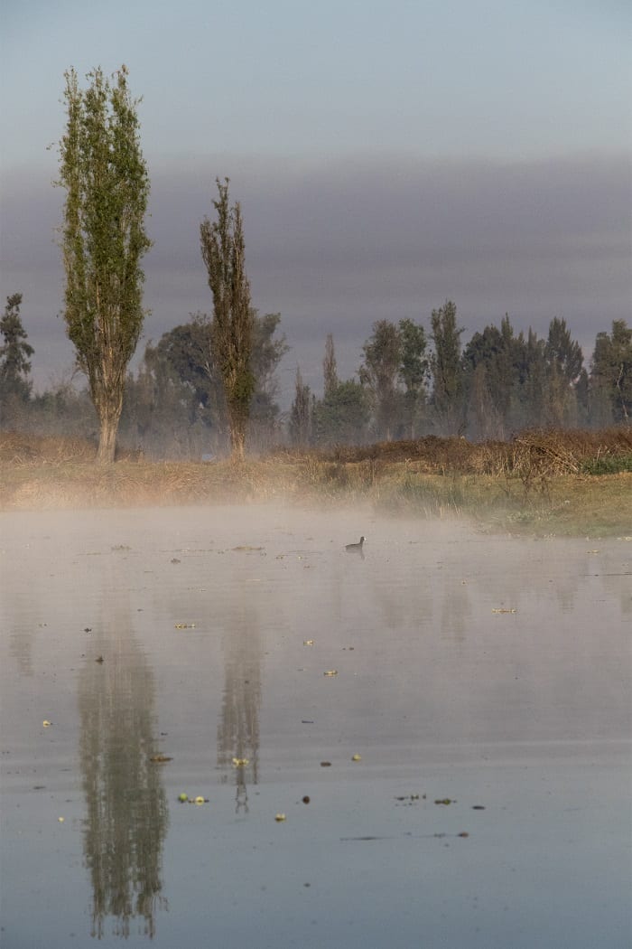 xochimilco-ibero-_mtra-_karla-contreras-010319.jpg