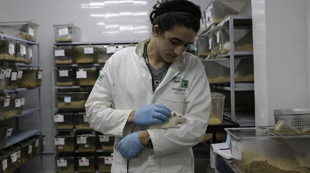 El Laboratorio de Neurociencias tiene espacio para resguardar a 300 ratas (Alberto Hernández/ IBERO).