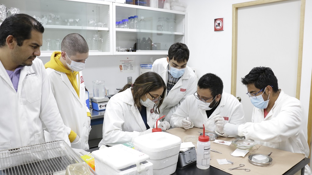 Con las nuevas instalaciones, además de hacer investigación conductual, ahora se podrán hacer análisis profundos de biología molecular (Alberto Hernández/ IBERO).
