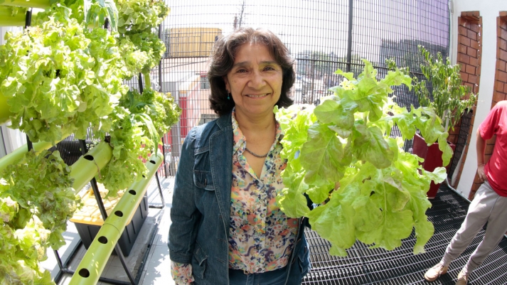 Mtra. Marina Sil Acosta, académica de la materia Taller de Servicio Social de la IBERO y quien está a cargo del huerto en el Centro Meneses (Alberto Hernández/IBERO).