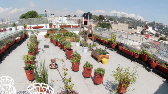 La Escuela de Huertos Urbanos ofrecerá una formación integral acerca de estos ecosistemas (Alberto Hernández/IBERO).