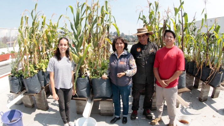 En el Centro Meneses existe una milpa sustentable (Alberto Hernández/IBERO)