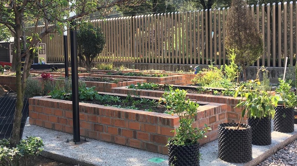 Se necesitan personas voluntarias para cuidar de las camas de cultivo.