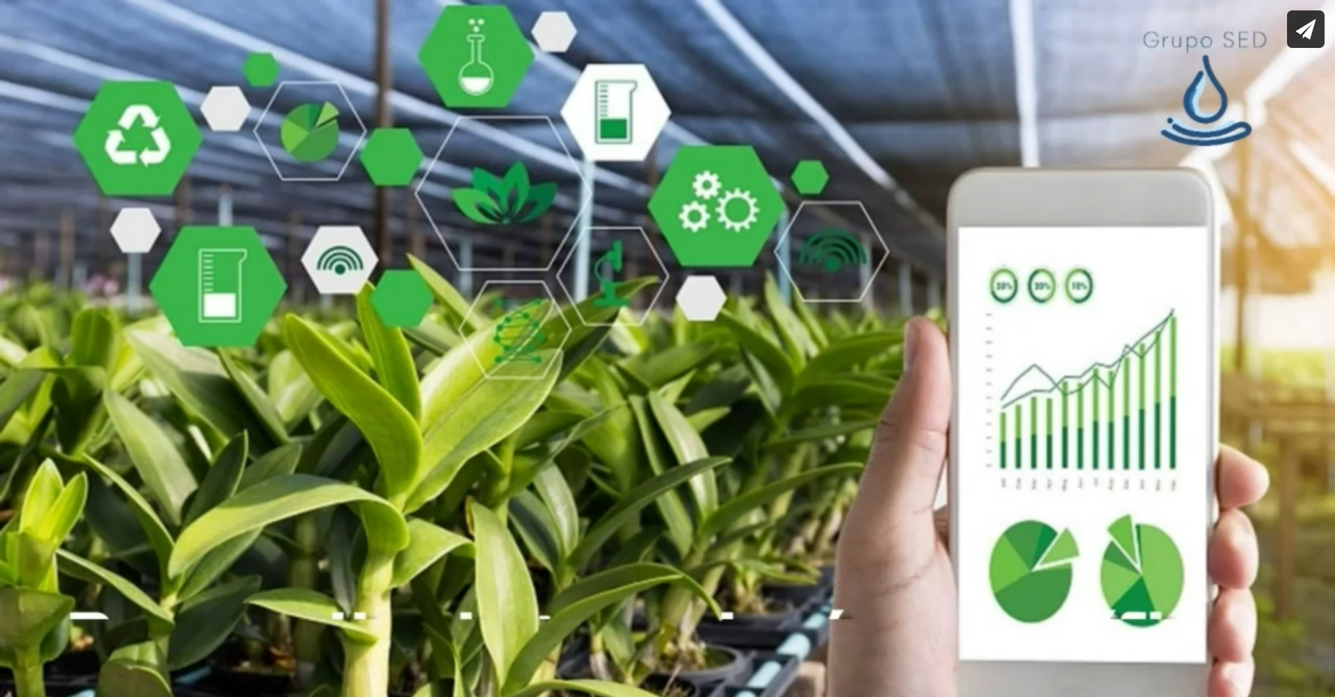 La tecnología de Grupo SED busca implementar sistemas flexibles de captación, filtración y almacenamiento de agua pluvial.