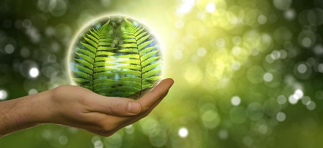 La eco-eclesiogénesis es una nueva manera de ser y entender la Iglesia. Una más dialogante e intercomunicada con la ecología de saberes.