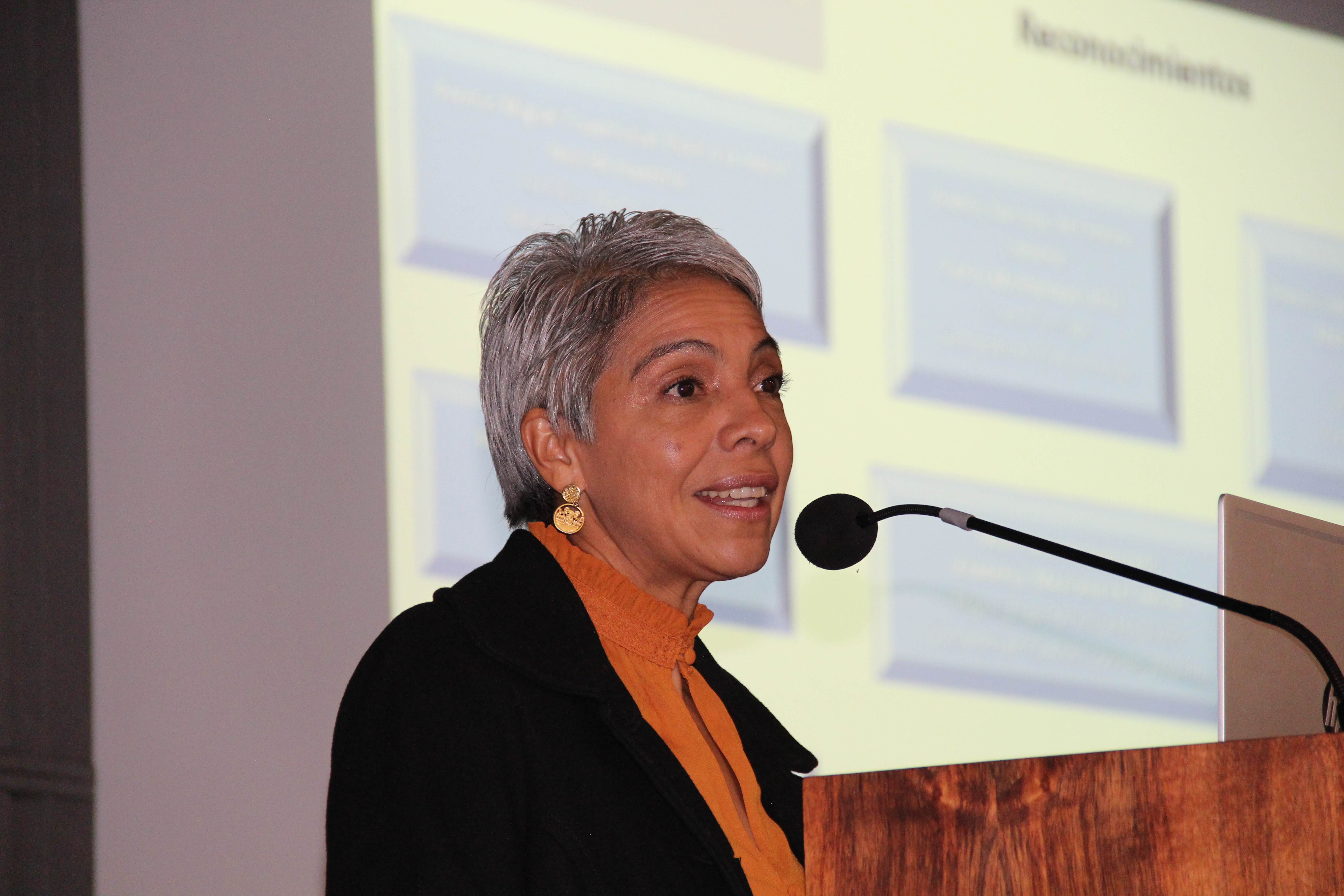 La Dra. Marisol Silva, directora de Investigación y Posgrado, platicó con la y los asistentes sobre la importancia de estudiar un posgrado (Valentina González/IBERO).