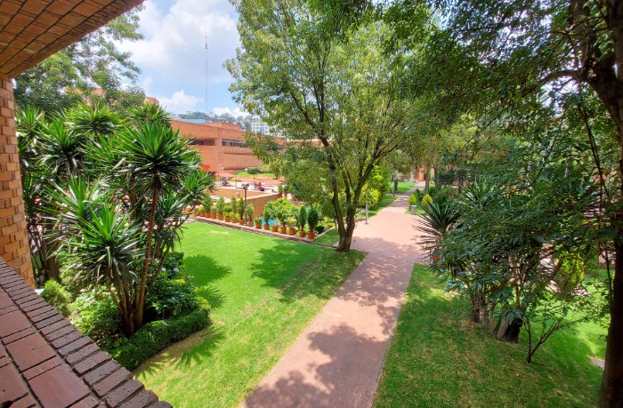 Nuestra IBERO cuenta con una Política Institucional de Sustentabilidad que orienta nuestro quehacer universitario.