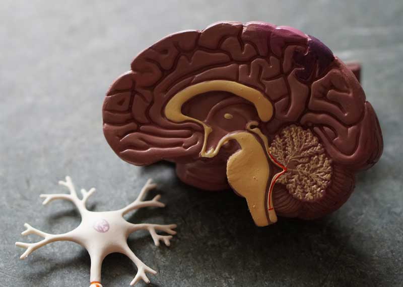 Algunos factores de riesgo son fumar, el sobrepeso y la obesidad, el colesterol alto y la diabetes e hipertensión descontroladas. Fotos: Unsplash.