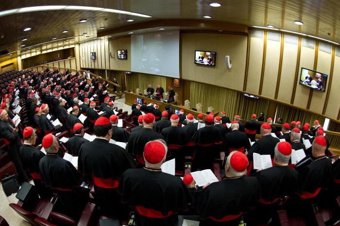 Las asambleas sinodales son un órgano consultivo para ayudar al Papa en el gobierno de la Iglesia. (Foto: http://secretariat.synod.va/)