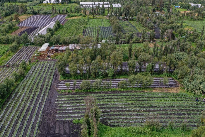 El suelo de conservación permite la recarga del Acuífero de la Zona Metropolitana de la Ciudad de México. (Foto: https://informedegobierno.cdmx.gob.mx/)